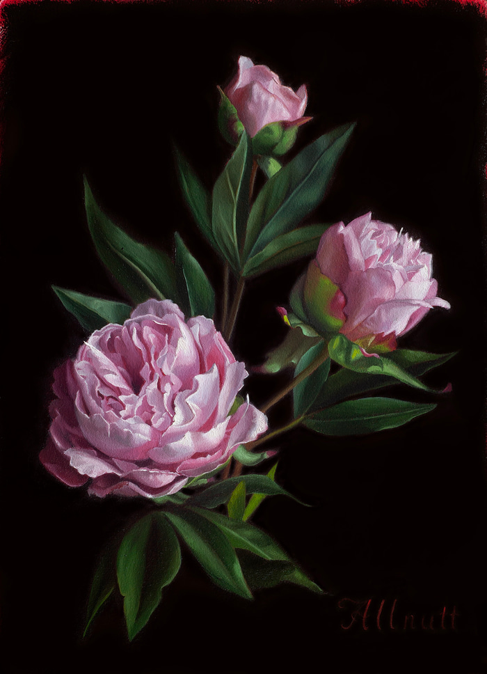 Unfurling by Jennifer Allnutt | Lethbridge Gallery