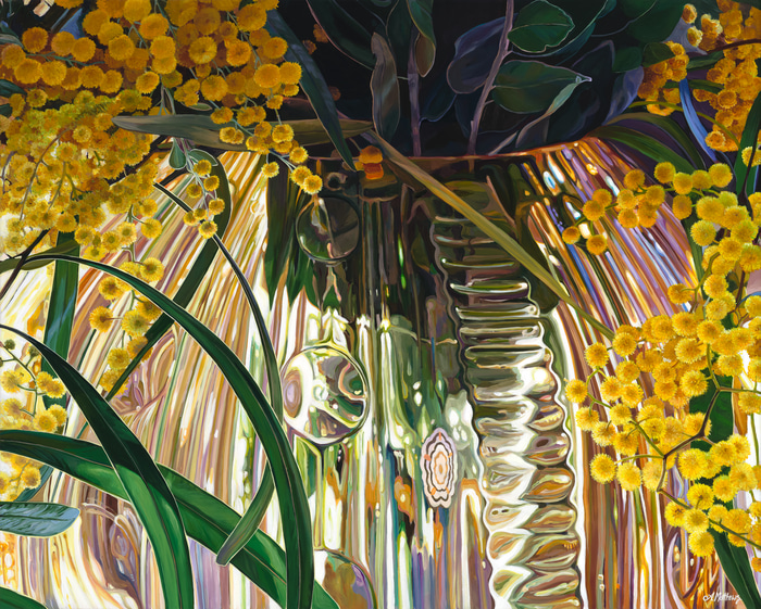 Wattle by Window  by Alexandra Matthews | Lethbridge Gallery
