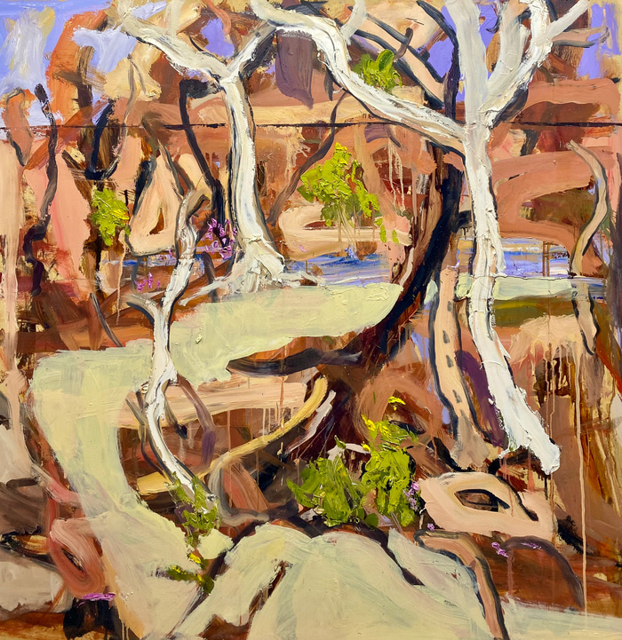 Nature Wears the Crown, Quilpie by Todd Whisson | Lethbridge Gallery