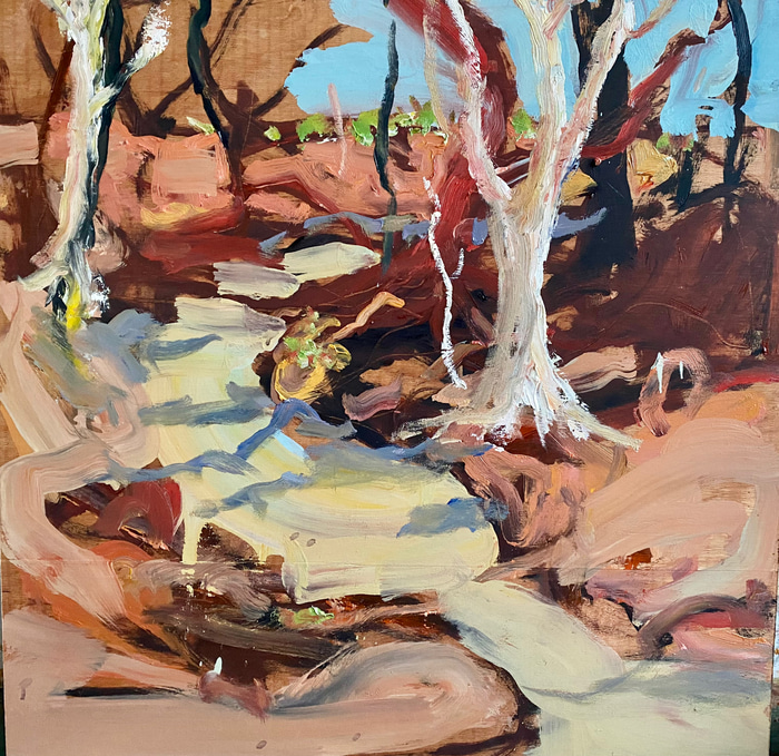 And Still, the Land Remains, Quilpie by Todd Whisson | Lethbridge Gallery
