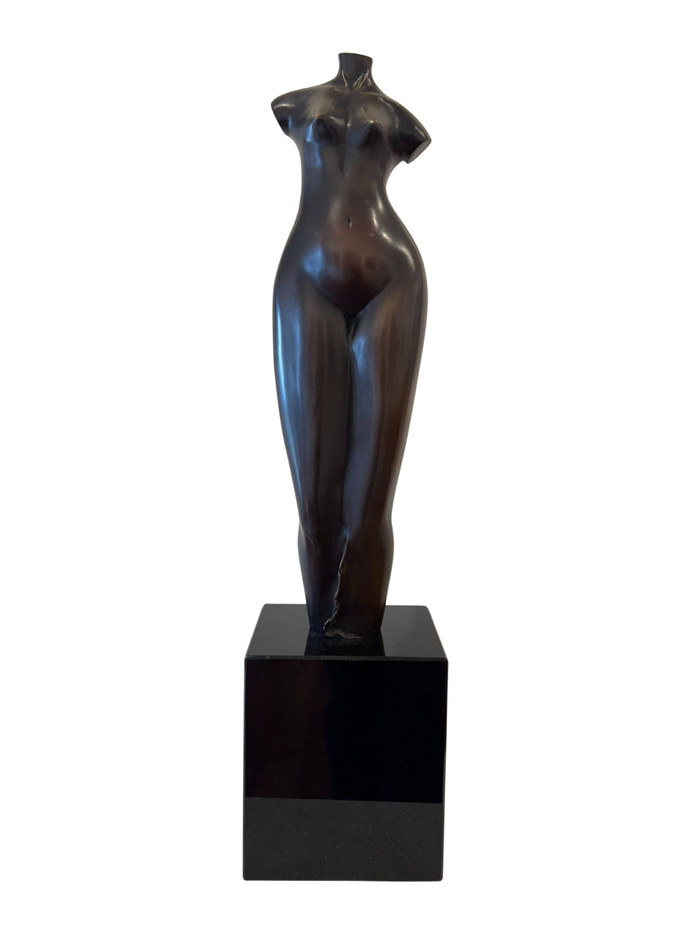 Tight Dress 2 by Zygmunt Libucha | Lethbridge Gallery