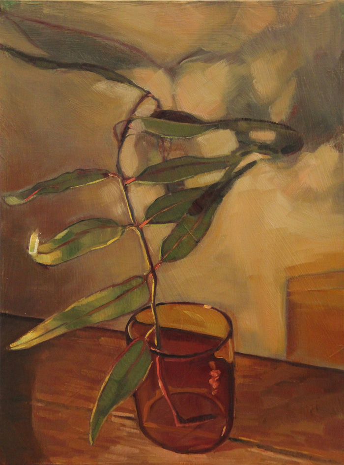 Gum leaves in cup by Liam Nunan | Lethbridge Gallery