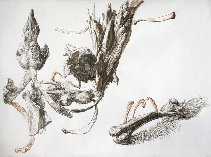 Bone Dance by Ryan Daffurn | Lethbridge Gallery