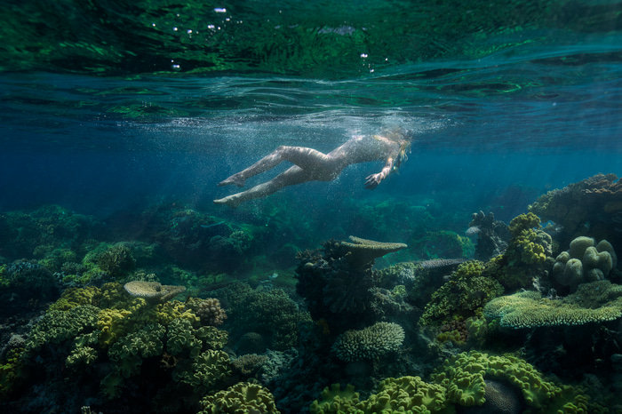 Seabed by Beth Mitchell | Lethbridge Gallery