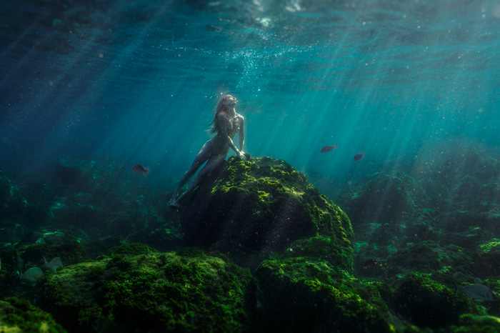 Sanctuary III by Beth Mitchell | Lethbridge Gallery