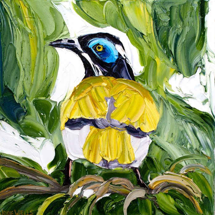 Blue Faced Honey Eater in Umbrella Tree by Jodie Wells | Lethbridge Gallery
