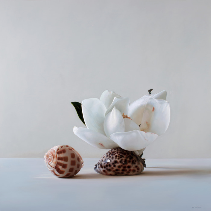 Magnolia and Shells by Lisa Christensen | Lethbridge Gallery