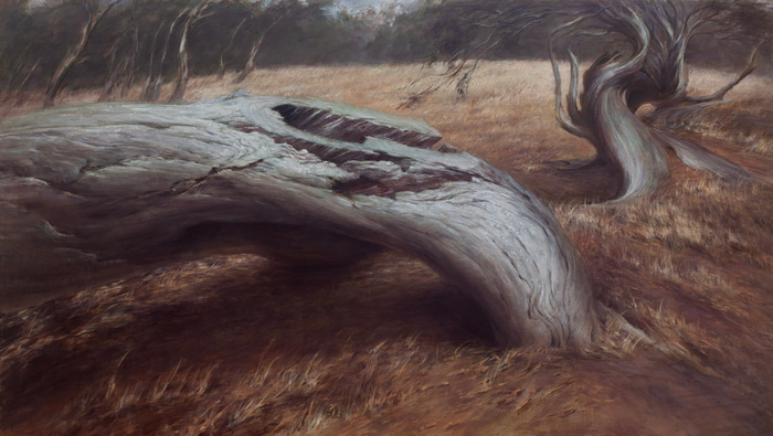Eucalypt Bones by Scott  Breton | Lethbridge Gallery