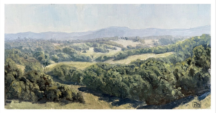 Northern Rivers Morning by Zac Moynihan | Lethbridge Gallery