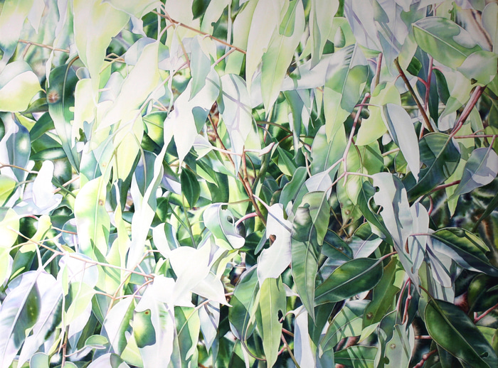 Radiant by Pat Hall | Lethbridge Gallery