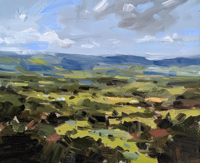 Samford Valley by Matt James | Lethbridge Gallery