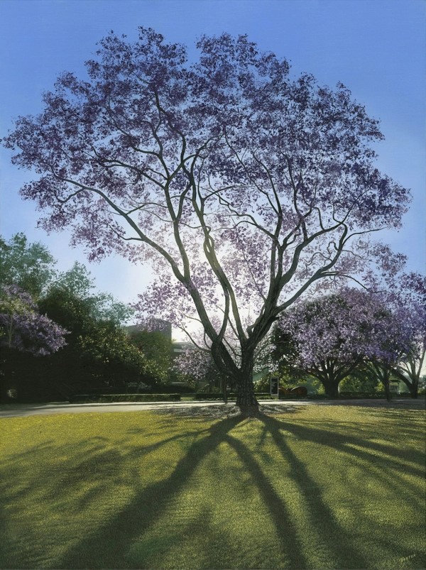 Purple Glow No.6 by Lars Vester | Lethbridge Gallery