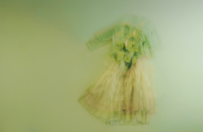 Lull by Marisa Veerman | Lethbridge Gallery