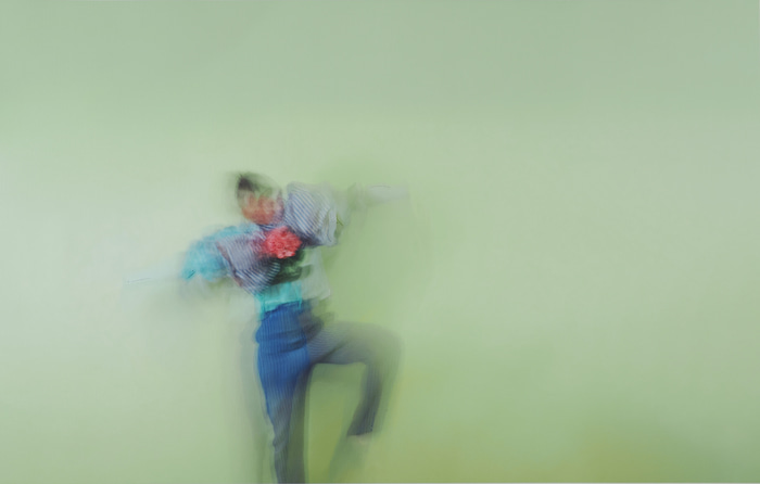 Fly by Marisa Veerman | Lethbridge Gallery