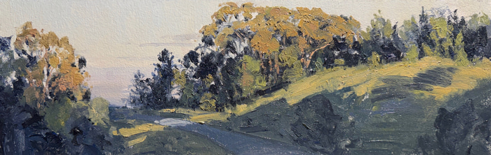 Bunya Last Light by Zac Moynihan | Lethbridge Gallery