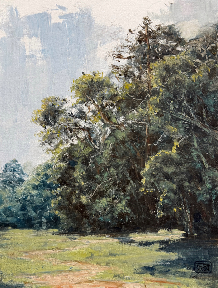 Bunya Tree Line by Zac Moynihan | Lethbridge Gallery
