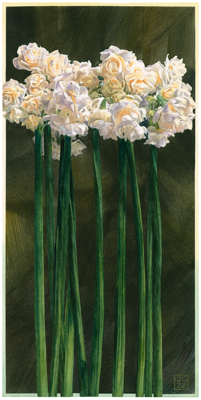 Jonquils by Jane Grealy | Lethbridge Gallery