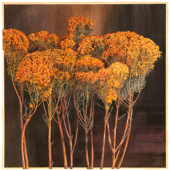 Orange Feather Flowers (ii) by Jane Grealy | Lethbridge Gallery