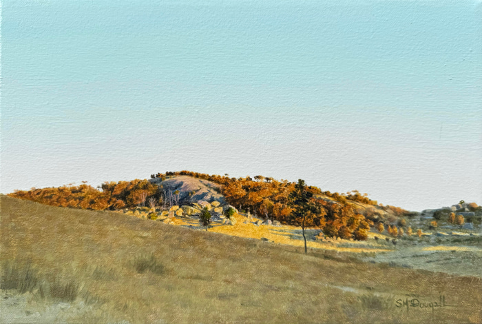 Afternoon Light, Tenterfield by Scott McDougall | Lethbridge Gallery
