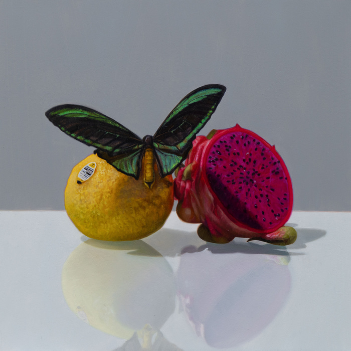 Dragonfruit and Lemon by Bronwyn Hill | Lethbridge Gallery