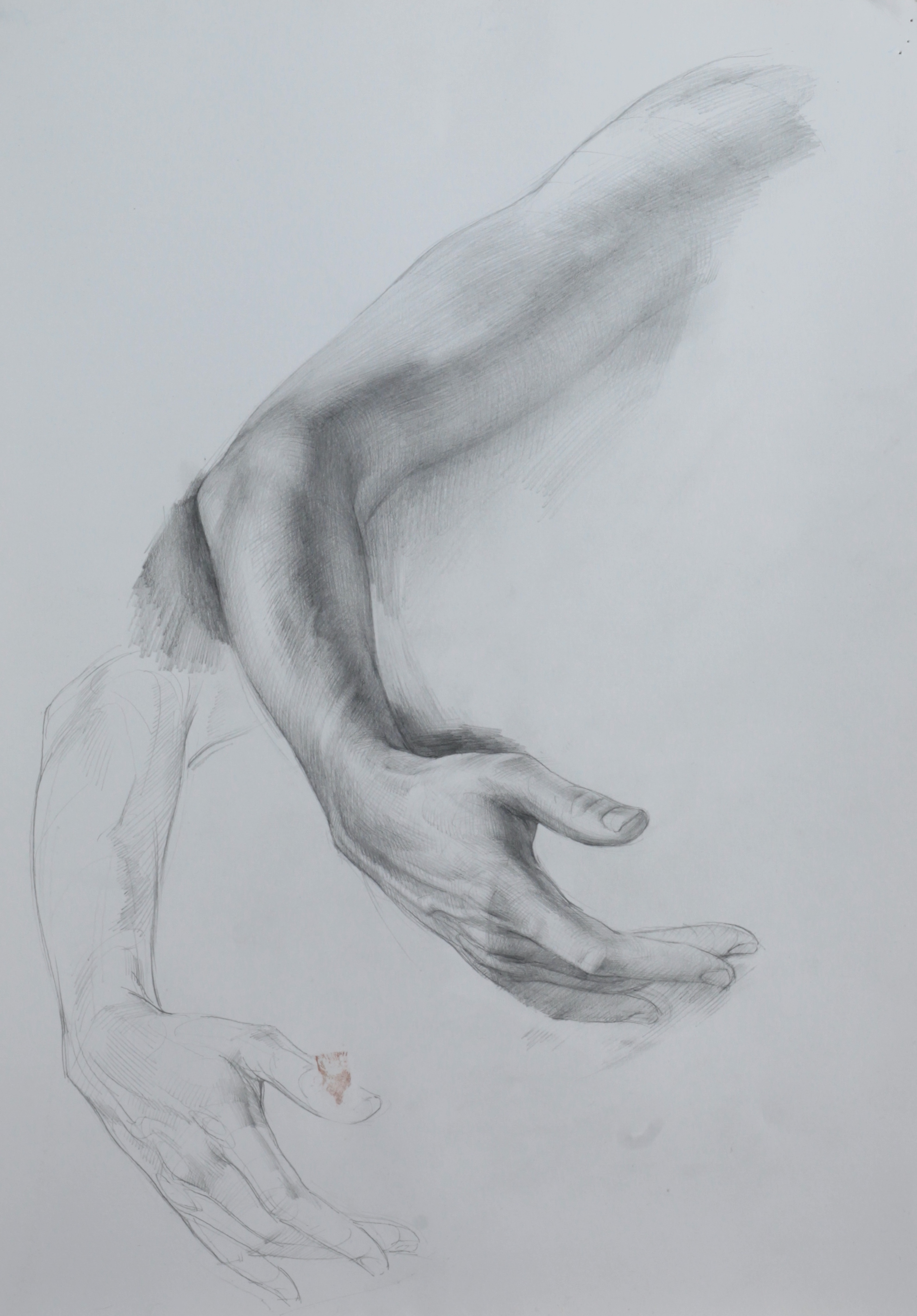 Study for Trauma and Grace by Scott  Breton | Lethbridge Gallery