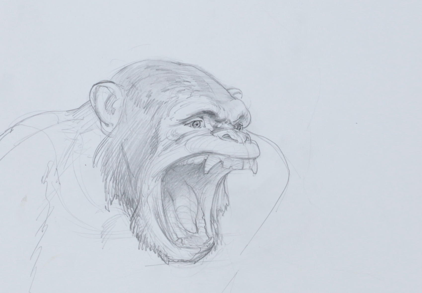 Screaming Monkey Study for Perspectives by Scott  Breton | Lethbridge Gallery