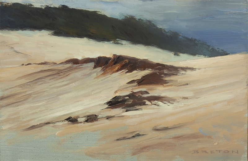 Shifting Sands Study 2 by Scott  Breton | Lethbridge Gallery