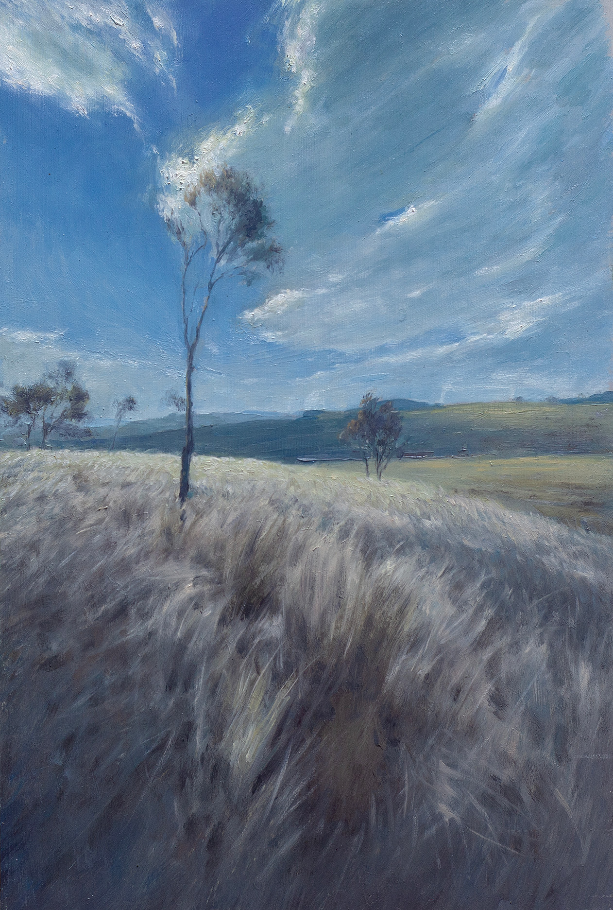 Sapling Study by Scott  Breton | Lethbridge Gallery