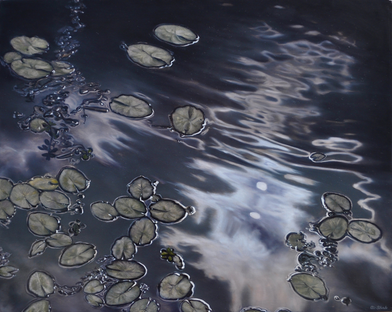 Sun Swimming with Lilies