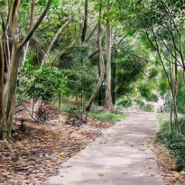 Walking Trail