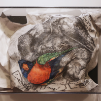 Bag of Birds