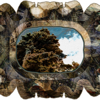 HatHillRoadTreesAndSky