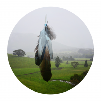 Something Borrowed #4: Objects, Landscape, Memory