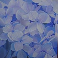 Lilac hydrangea
