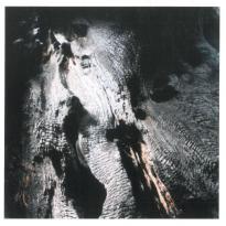 Equus