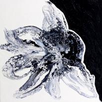 The Black Orchid