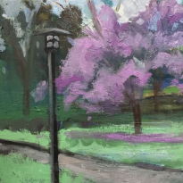 Callen Park, Jacarandas