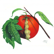 Botanical 1