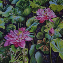Waterlilies on a Bright Sunny Day