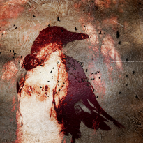HIGHLY COMMENDED - The Birds