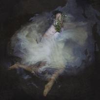 SOLD - Sound of Silence