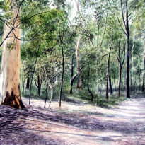 Dappled Ground