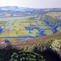 Vineyard Vista