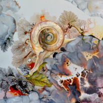 Igneous Laggard