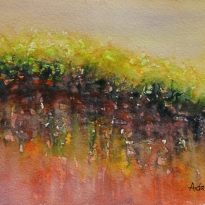 Mangrove Study