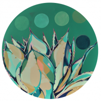 Cigana Desert Agave