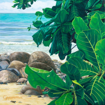 Ocean Glimpse