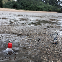 Plenty More Fish in the Sea