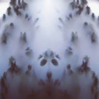 Duplicity