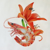 Tigerlily